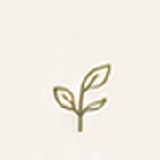 credential icon